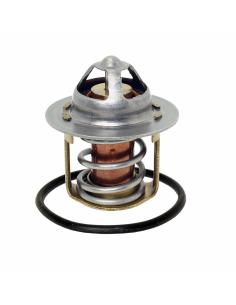 Termostato Original 70º GasGas EC 250/300 2021- + EC 250F...