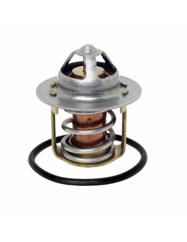 Termostato Original 70º GasGas EC 250/300 2021-...
