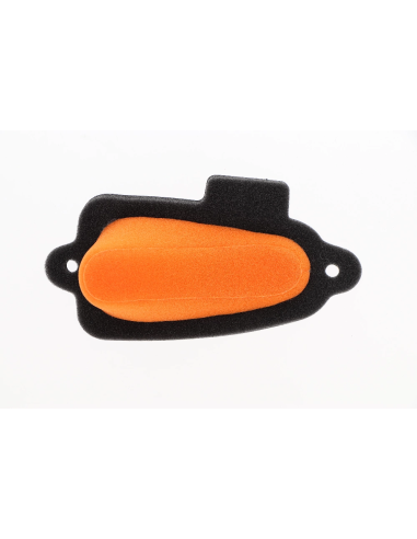 Filtro de Aire Twin Air Beta Trial Evo 2T...