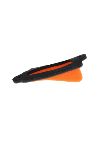 Filtro de Aire Twin Air Beta Trial Evo 2T...