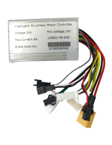 Controlador de Motor 24V/100W para Bicicleta...