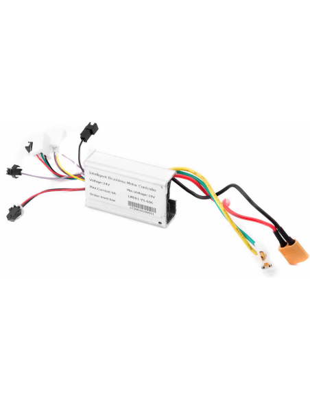 Controlador de Motor 24V/100W para Bicicleta Electrica de Equilibrio BUD Racing (LM001-YS-606)