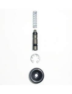 Kit Reparación Bomba de Freno Trasero Original GasGas Pro