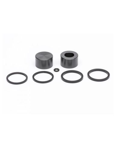 Kit Reparacion Pinza de Freno Trasero AJP...