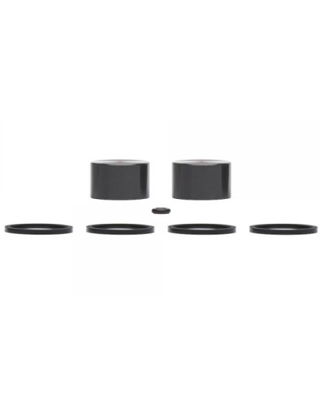 Kit Reparacion Pinza de Freno Trasero AJP Braktec 2 Pistones 25x15mm