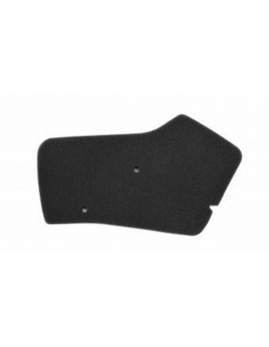 Filtro de Aire Athena Honda GP 50 DIO/SC01...