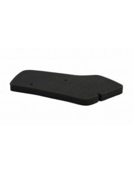 Filtro de Aire Athena Honda GP 50 DIO/SC01 (Equivale a 17205-GAH-000)