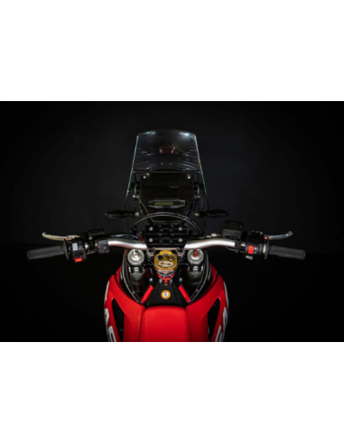 Kit Carenado RadeGarage G5 para GasGas ES 700...