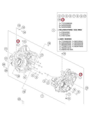 Casquillos de Carter Motor