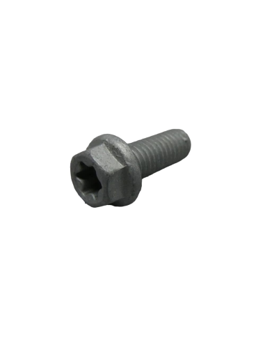 HH Collar Screw M6x16 TX30 (KTM/HVA/GG)