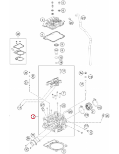 Cilindro Completo Original GasGas MC 350 F 2022-2023 +...