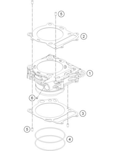 Needle Roller DIN 5402 5x9.8 (KTM/HVA/GG)