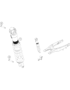Monoshock 250 TC 2021 (WP)