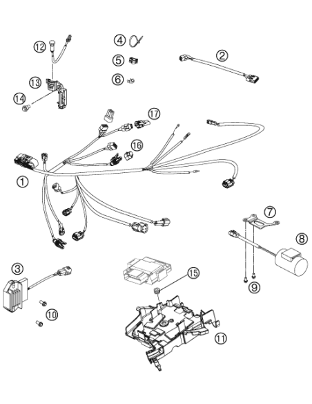 Brida 200/4,8 mm Negra (KTM/HVA/GG)