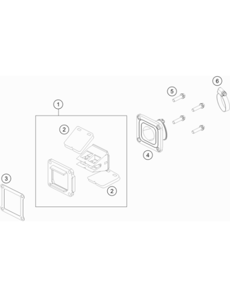 Reed Valve Assy Cpl.85 SX 2009 (KTM/HVA/GG)