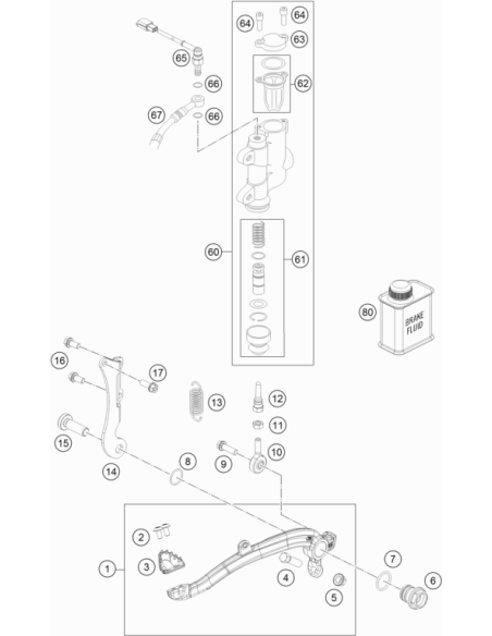 Screw Torx M5x10 05 (KTM/HVA/GG)