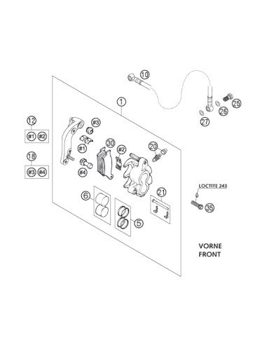 Bleeder Screw With CAP (KTM/HVA/GG)