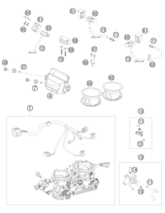 Screw Shoulder (KTM/HVA/GG)