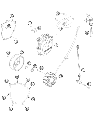 Rotor (KTM/HVA/GG) St:50