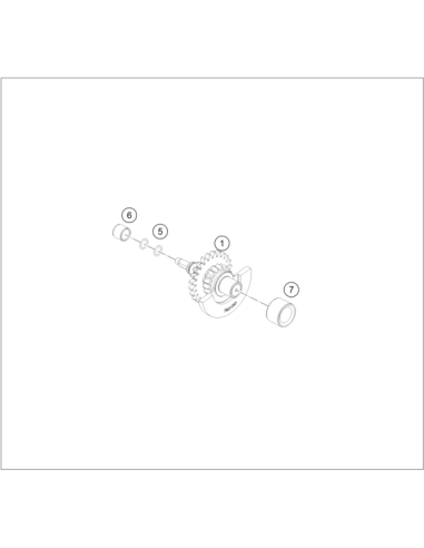 Balancing Shaft Preassembled (KTM/HVA/GG)