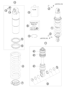 Spring 220 65 N/mm (61) (WP)