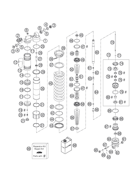 Spring250 80n/mm D12,5 (62)ora (WP)