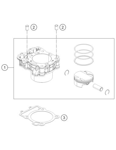 Cyclinder + Piston (KTM/HVA/GG)