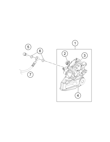 Caliper Assembly Rear (KTM/HVA/GG)