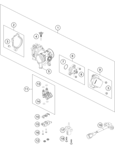 Stop Screw SET (KTM/HVA/GG)