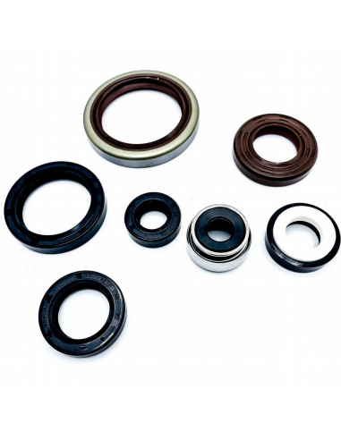 Kit Retenes Originales GasGas EC 250/300 2010-2019