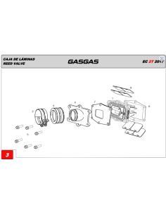 Kit Laminas de Carbono V-Force 4 Originales GasGas EC... 2