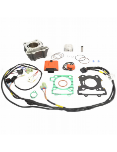 Kit de Cilindro Big Bore Athena 160cc 65Ø KTM Duke 125...