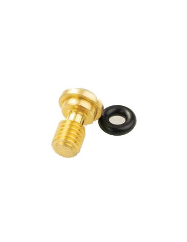 Tornillo Con Torica Purgador de Horquilla Kayaba/Showa 48mm Ø5x11