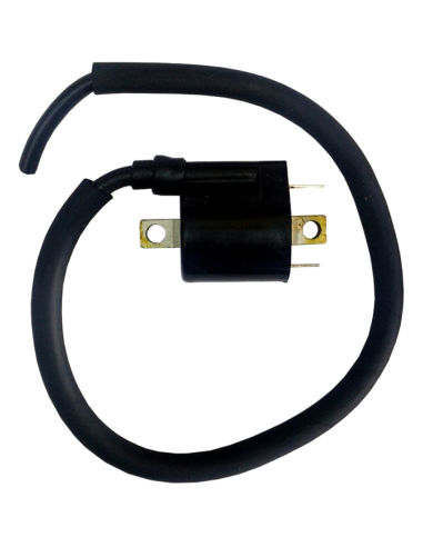 Bobina de Alta DZE con Cable