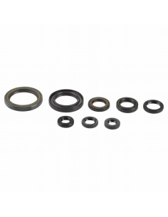 Kit Retenes de Motor Completo Honda CRF 150 R 2007-