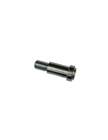 Tornillo Especial Caballete Rr 4T 2008 (Beta)