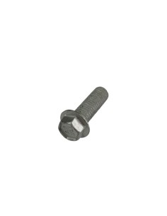 Tornillo Especial 8X25 Ch10 (Beta)