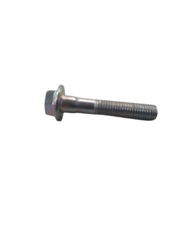 Tornillo Especial 7 X 38 (Beta)
