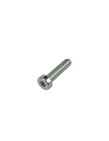 Tornillo Esp 6X25 (Beta)