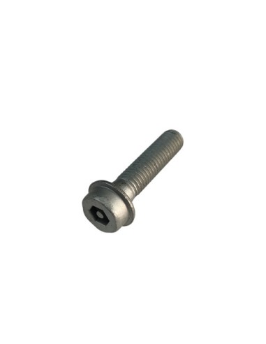Tornillo De Seguridad (Beta)