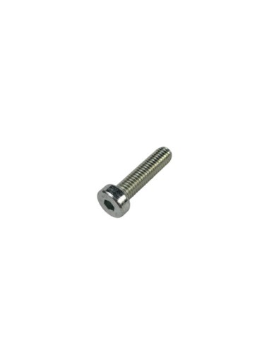 Tornillo Allen 5 X 20 (Beta)