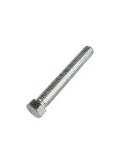 Tornillo 8X55 If Ch 10 Zb (Beta)