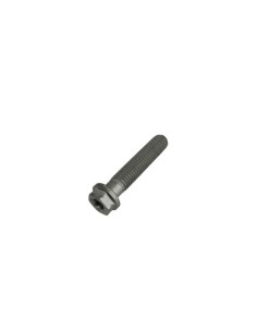 Tornillo 8.40 Alp 200/08 (Beta)