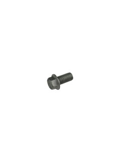 Tornillo 8.16 Rs C/Arandela Ch.10 (Beta)