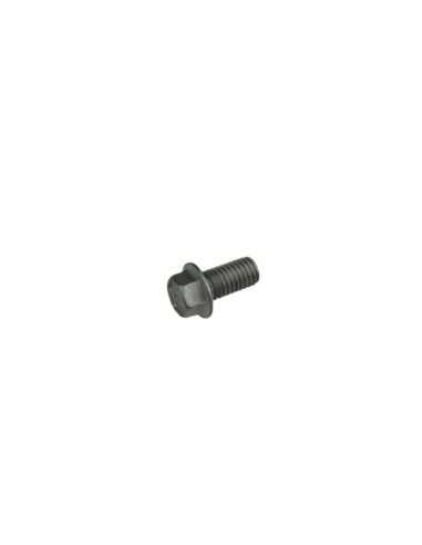 Tornillo 8.16 Rs C/Arandela Ch.10 (Beta)