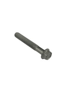 Tornillo 6X40 (Beta)