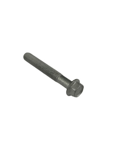 Tornillo 6X40 (Beta)