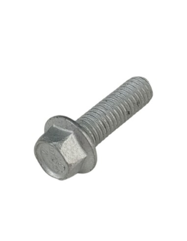 Tornillo 6X20 Rs Ch8 (Beta)