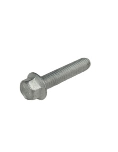 Tornillo 6,30 Rs Ch 8 RR-4T / Rr 125 (Beta)