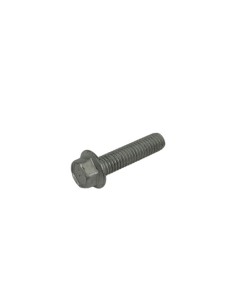 Tornillo 6,25 Rs Ch 8 (Beta)